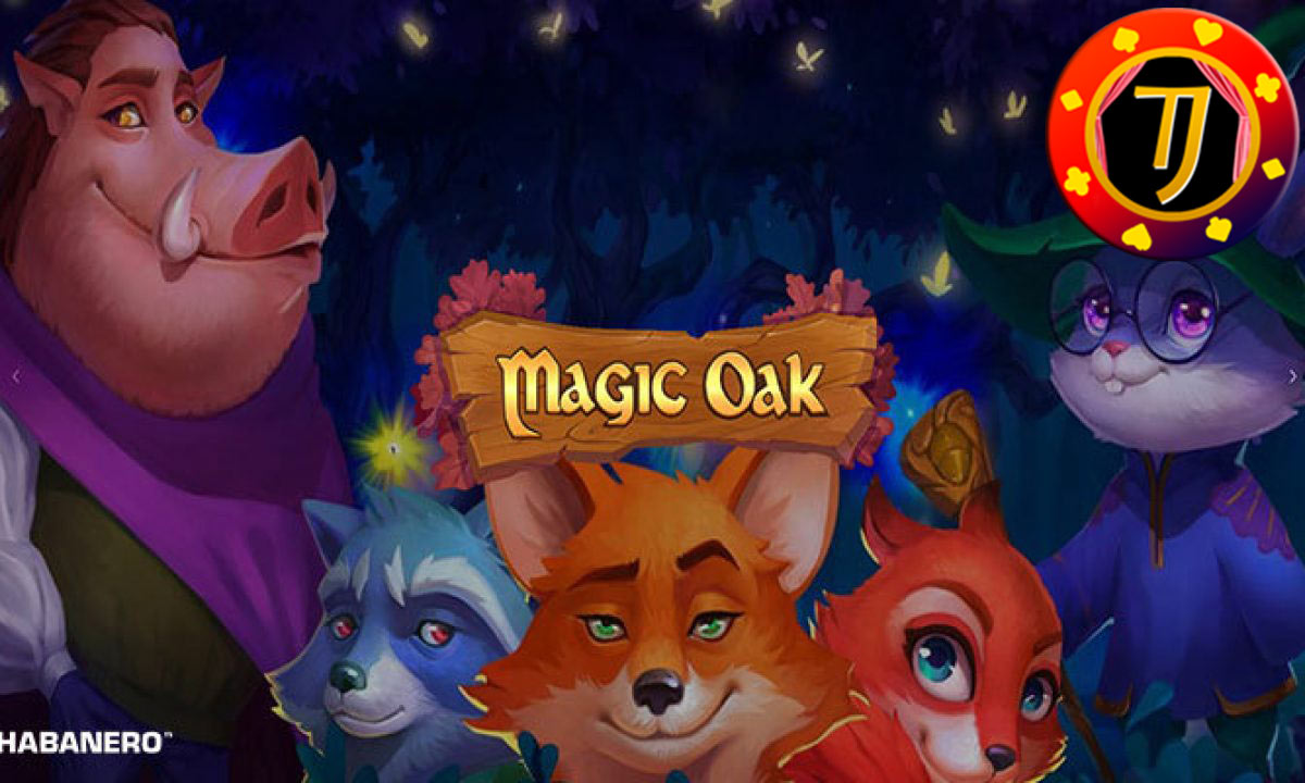 Informasi Mengenai Permainan Slot Online Habanero Magic Oak