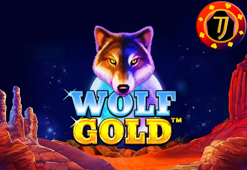 Beberapa Tips Efektif Untuk Menang Judi Slot Wolf Gold Pragmatic Play