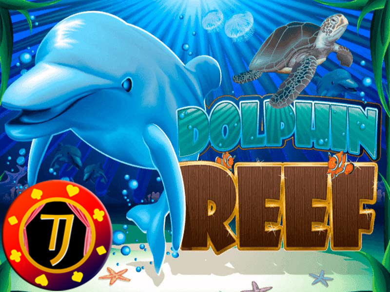 Tips Mudah Memainkan Permainan Judi Slot Online Dolphin Reef