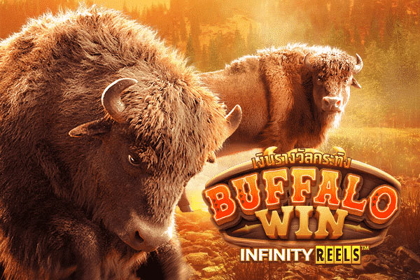 Kemenangan Paling Takjub Bermain Permainan Judi Slot Pg Soft Buffalo Win