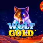 Beberapa Tips Efektif Untuk Menang Judi Slot Wolf Gold Pragmatic Play