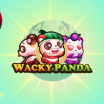 Ambil Keberuntungan Dalam Bermain Slot MicroGaming Wacky Panda