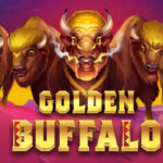 Bermain Permainan Mesin Judi Slot Online Gold Buffalo Terpopuler