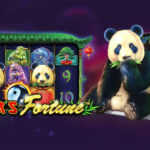 Info Gampang Menang Main Judi Slot Online Pragmatic Panda Fortune