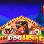 Salah Satu Trik Mudah Untuk Menang Dalam Bermain Judi Slot The Dog House