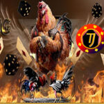 Agen Poker, Agen Poker, Togel dan Bola Terpercaya serta Prediksi Bola Terbaru