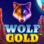 Cara Terbaik Bermain Taruhan Judi Slot Online Pragmatic Play Wolf Gold