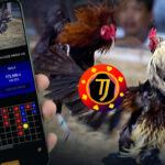 Agen Poker, Agen Poker, Togel dan Bola Terpercaya serta Prediksi Bola Terbaru