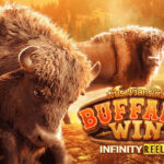 Kemenangan Paling Takjub Bermain Permainan Judi Slot Pg Soft Buffalo Win