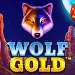 Mainkan Permainan Judi Slot Online Pragmatic Paling Populer Wolf Gold