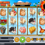 Trik Terbaik Dalam Memenangkan Taruhan Judi Slot Online Habanero Barnstormer Bucks
