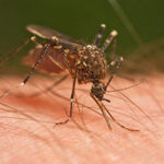 Poker Online Terbaik, Agen Poker Terpercaya, Daftar Poker Online, Bandar Togel Online