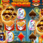Slot Online Hadiri Permainan Taruhan Judi Habanero Paling Terpopuler Di Masyarakat Fortune Dogs