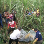 Togel Online Terbaik, Agen Togel Terpercaya, Bandar Togel Terbaik