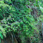 Togel Online Terbaik, Agen Togel Terpercaya, Bandar Togel Terbaik