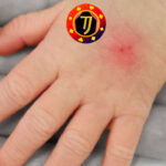 Togel Online Terbaik, Agen Togel Terpercaya, Bandar Togel Terbaik