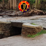 Togel Online Terbaik, Agen Togel Terpercaya, Bandar Togel Terbaik