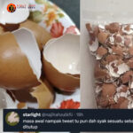 Togel Online Terbaik, Agen Togel Terpercaya, Bandar Togel Terbaik