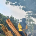 Togel Online Terbaik, Agen Togel Terpercaya, Bandar Togel Terbaik