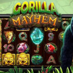 togel Online Terbaik, Agen Togel Terpercaya, Bandar Togel Terbaikel Online Terbaik, Agen Togel Terpercaya, Bandar Togel Terbaik