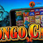 togel Online Terbaik, Agen Togel Terpercaya, Bandar Togel Terbaikel Online Terbaik, Agen Togel Terpercaya, Bandar Togel Terbaik