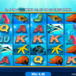 togel Online Terbaik, Agen Togel Terpercaya, Bandar Togel Terbaikel Online Terbaik, Agen Togel Terpercaya, Bandar Togel Terbaik