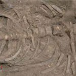 Bandar Togel Terbaik, Agen Togel Terpercaya, Situs Togel Terpercaya