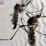 Bandar Togel Terbaik, Agen Togel Terpercaya, Judi Togel Online