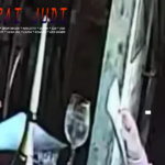 Togel Online Terbaik, Agen Togel Terpercaya, Bandar Togel Terbaik