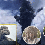 Poker Online, Togel Singapura, Togel Hongkong