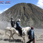 Agen Togel Terpercaya, Situs Togel Terpercaya, Bandar Togel Online