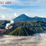 Agen Togel Terpercaya, Situs Togel Terpercaya, Bandar Togel Online