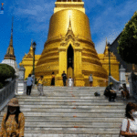 Live Togel Terpercaya, Agen Togel Terbesar, Agen Togel Terbaik