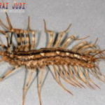 Live Poker Indonesia, Situs Poker Terpercaya, Agen Poker Terpercaya