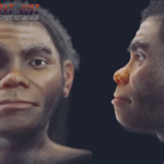 Togel Online Terbaik, Agen Togel Terpercaya, Bandar Togel Terbaik