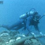 Togel Online Terbaik, Agen Togel Terpercaya, Bandar Togel Terbaik