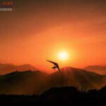 Togel Online Terbaik, Agen Togel Terpercaya, Bandar Togel Terbaik