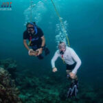 Togel Online Terbaik, Agen Togel Terpercaya, Bandar Togel Terbaik