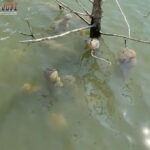 Bandar Togel Terbaik, Agen Togel Terpercaya ,Situs Togel Terpercaya