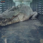 Bandar Togel Terbaik, Agen Togel Terpercaya ,Situs Togel Terpercaya