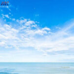 Bandar Togel Terbaik, Agen Togel Terpercaya ,Situs Togel Terpercaya