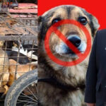 Togel Online Terbaik, Bandar Togel Terbaik, Situs Togel Terpercaya