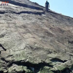 Togel Online Terbaik, Agen Togel Terpercaya, Bandar Togel Terbaik