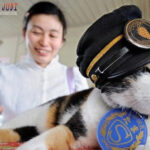 Bandar Togel Terbaik, Agen Togel Terpercaya ,Situs Togel Terpercaya