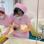 Poker Online, Togel Singapura, Togel Hongkong