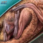 Poker Online, Togel Singapura, Togel Hongkong