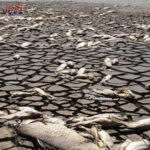 Poker Online, Togel Singapura, Togel Hongkong