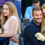 Poker Online, Togel Singapura, Togel Hongkong