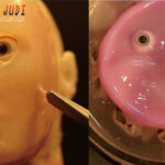 Poker Online, Togel Singapura, Togel Hongkong