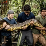 Poker Online, Togel Singapura, Togel Hongkong